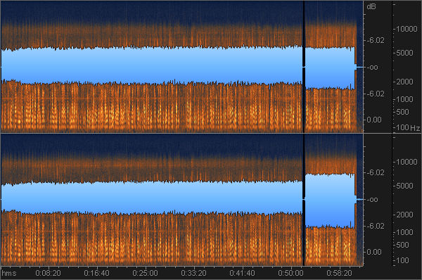 screen grab of spectogram from Izotope RX of an audio file